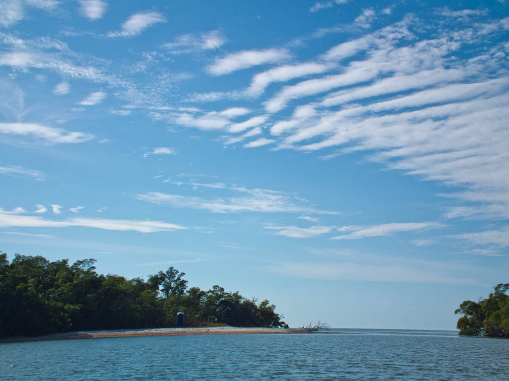 Everglades 2012 61