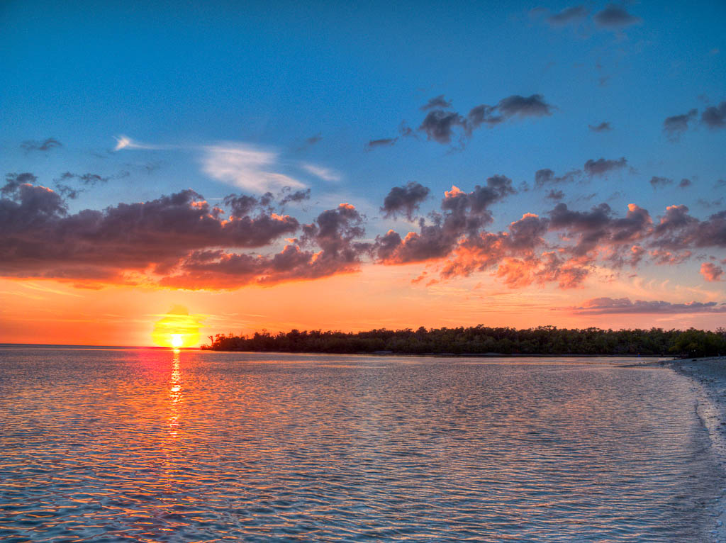 Everglades 2012 73