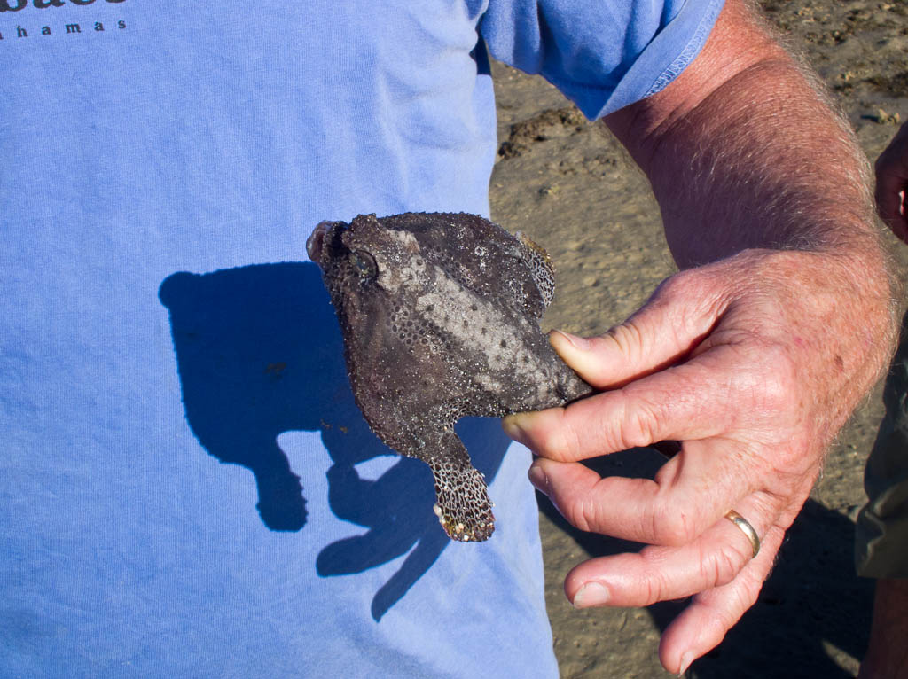 Everglades 2012 76