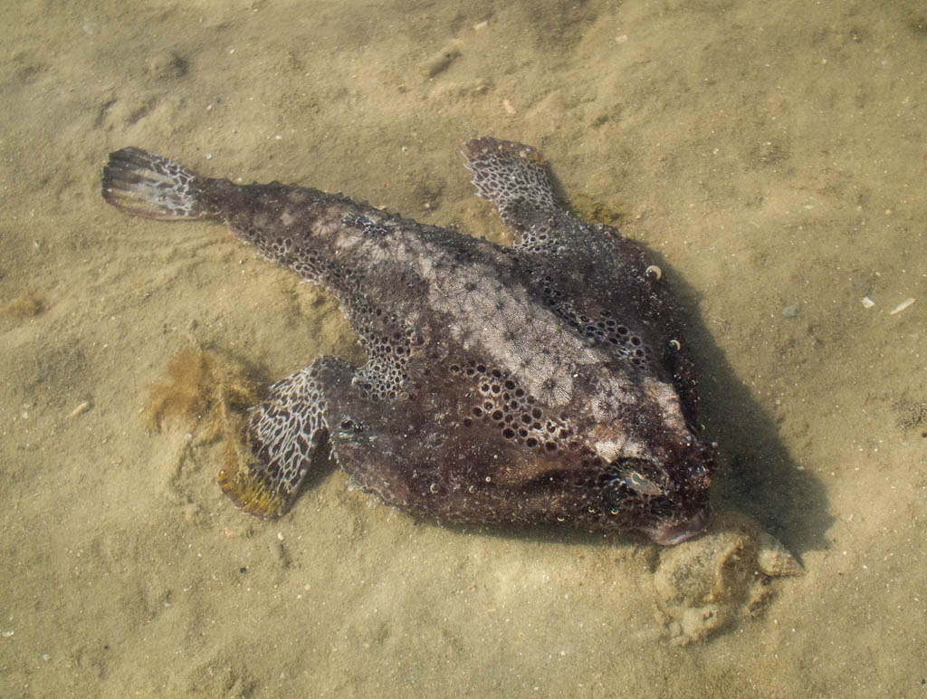 Everglades 2012 79