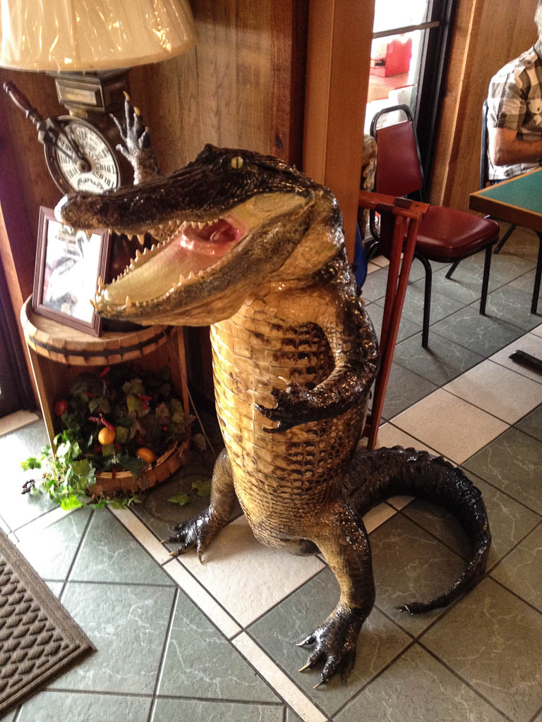 Everglades 2013 001