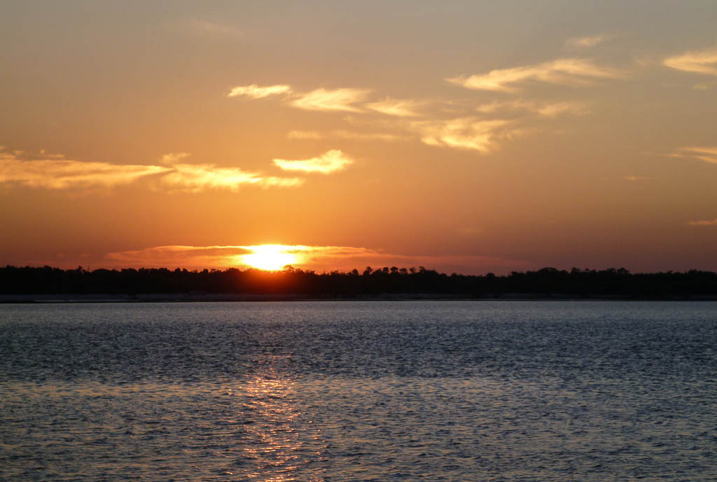Everglades 2013 055