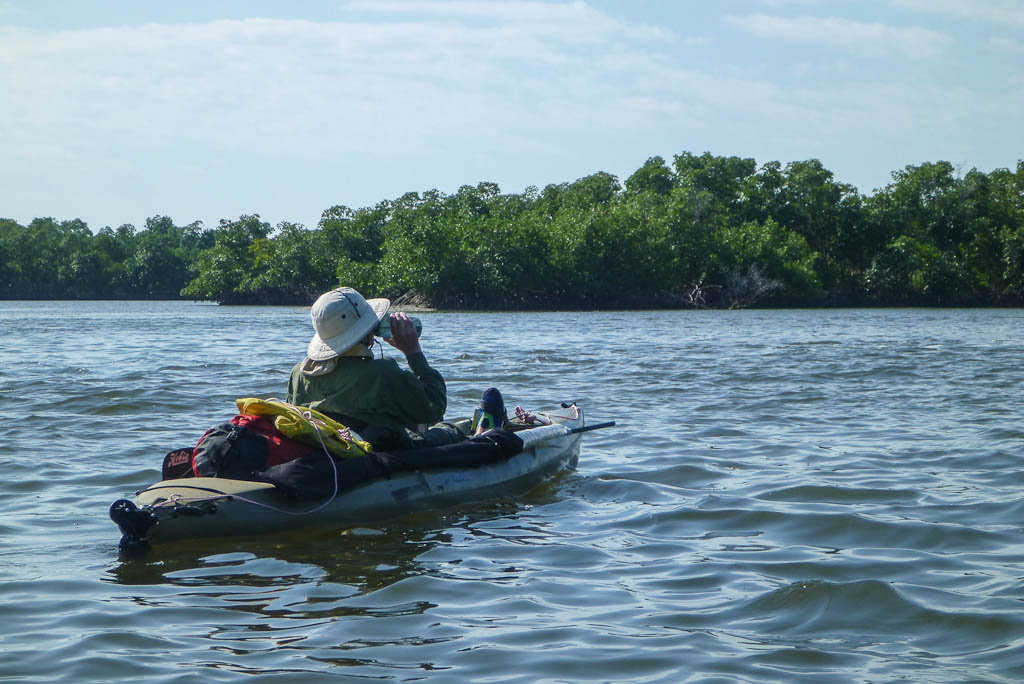 Everglades 2013 100