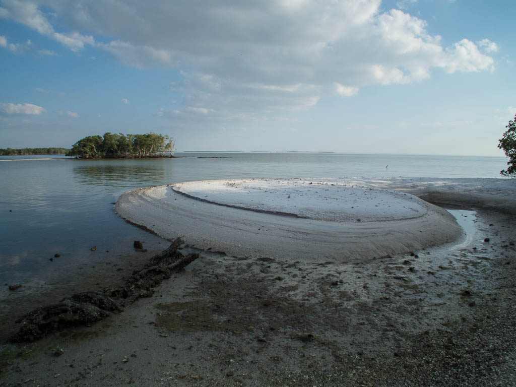Everglades 2013 121