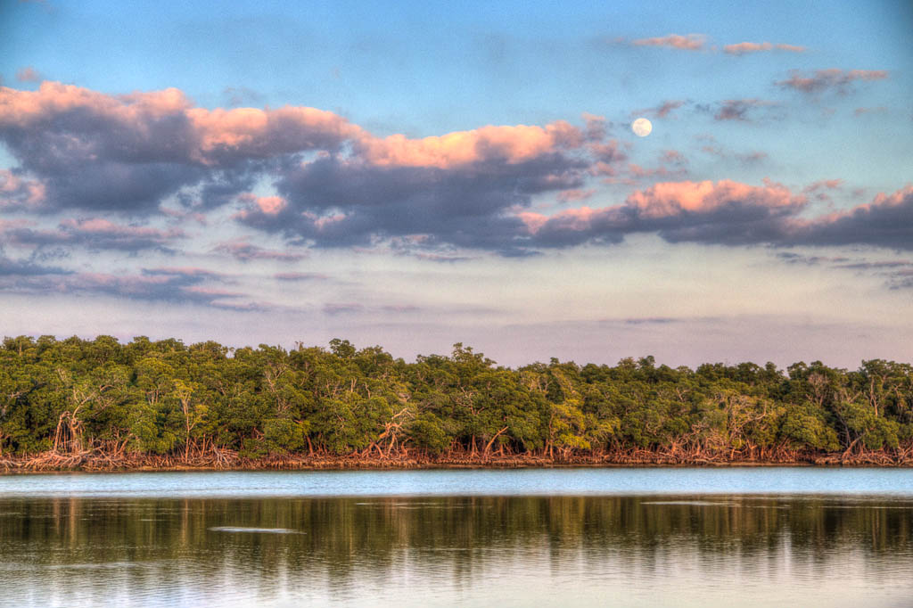 Everglades 2013 125