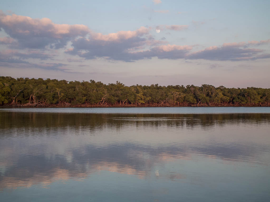 Everglades 2013 129