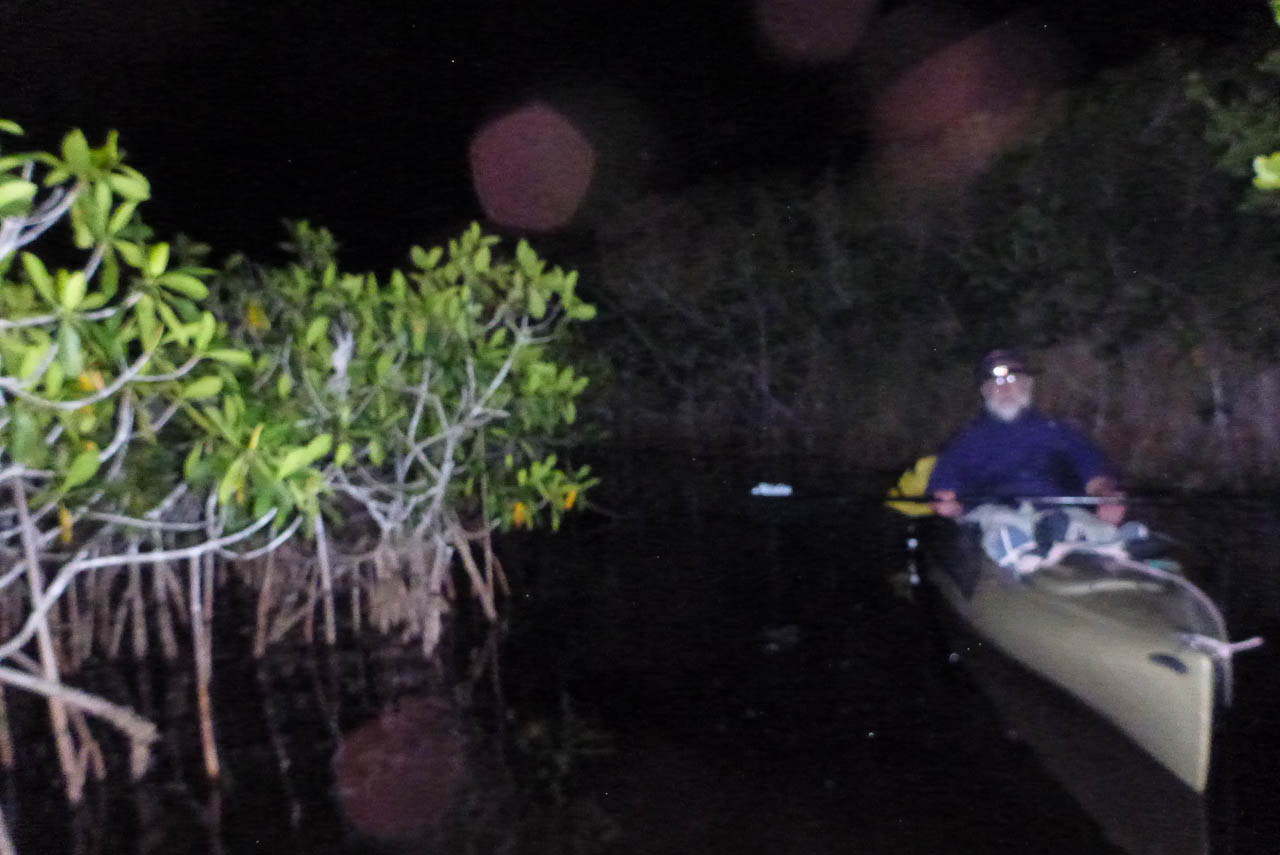 Everglades