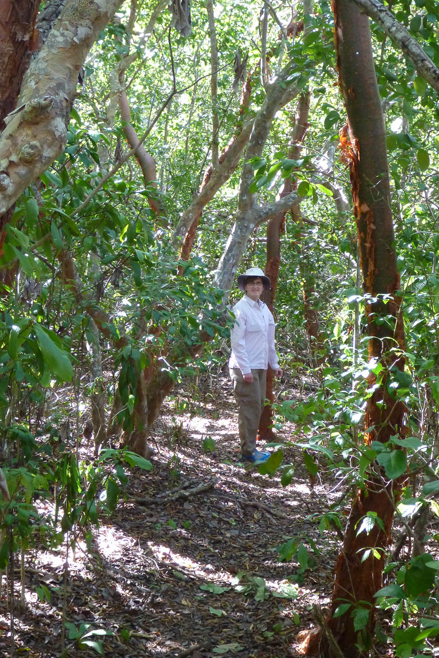 Eglades14b 17