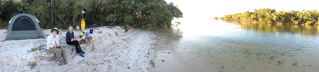 Eglades14b 24