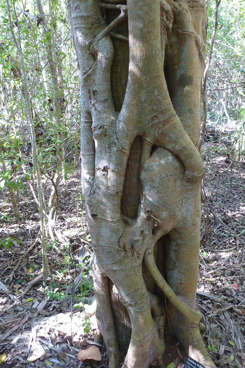 Eglades14b 3