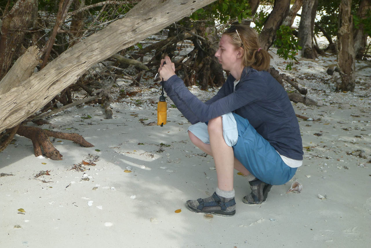 Eglades14b 39
