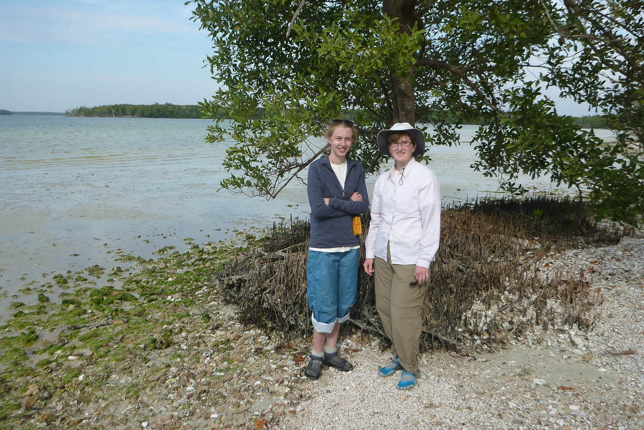 Eglades14b 43