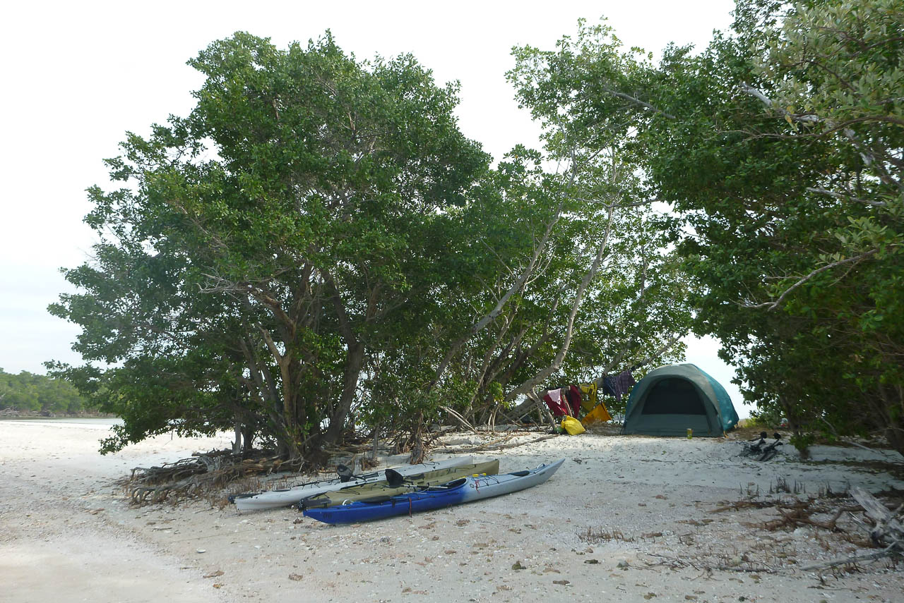 Eglades14b 44