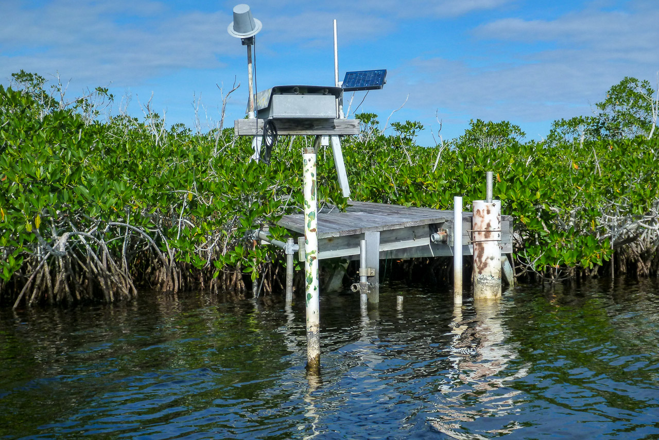 Everglades 2015 19