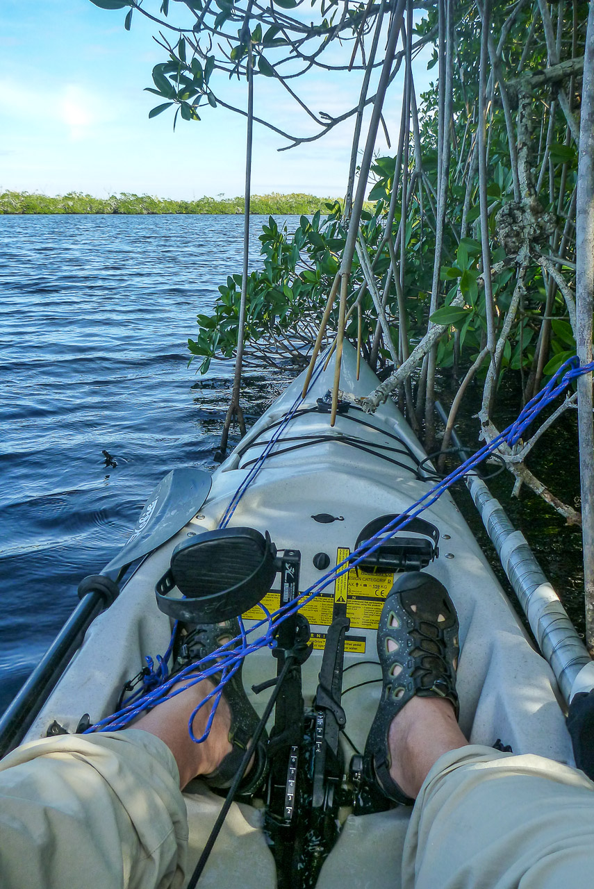 Everglades 2015 21