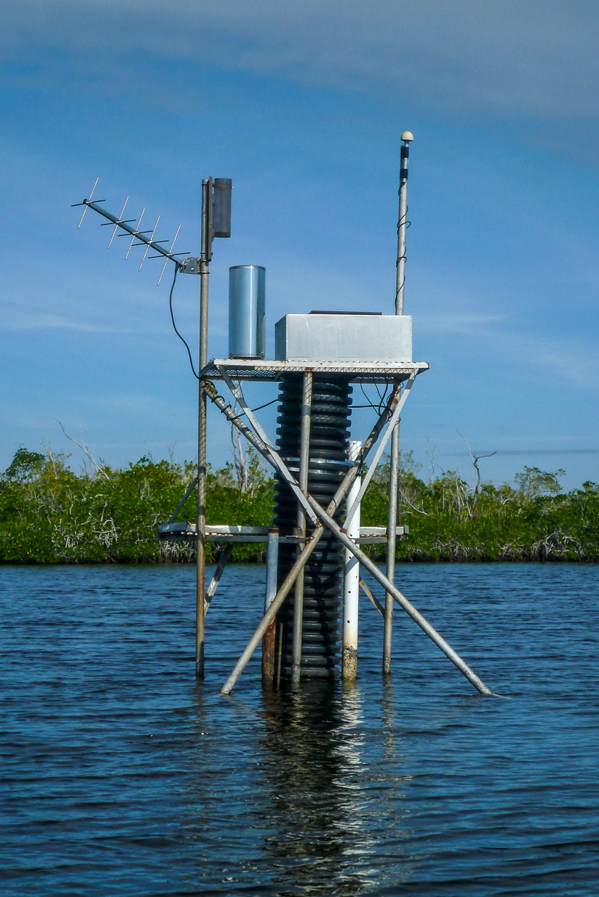 Everglades 2015 22