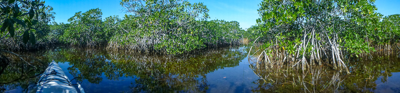 Everglades 2015 23
