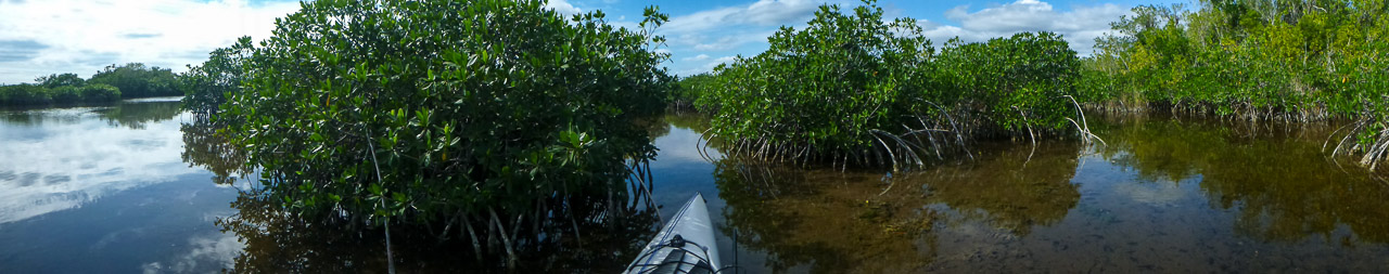 Everglades 2015 29