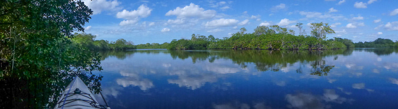 Everglades 2015 44