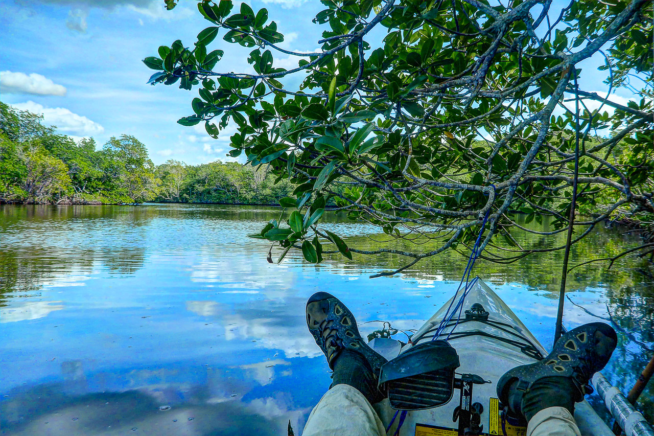 Everglades 2015 46
