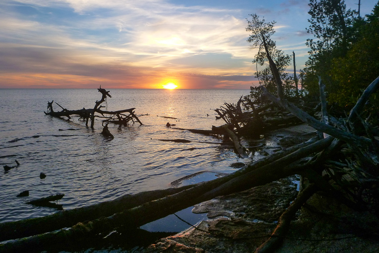 Everglades 2015 47