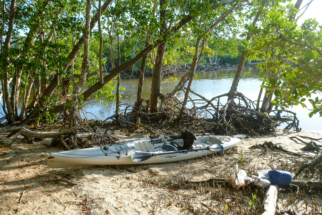 Everglades 2015 49