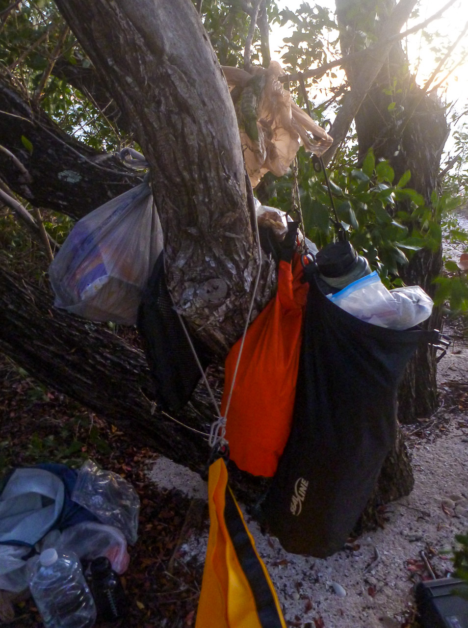 Everglades 2015 55