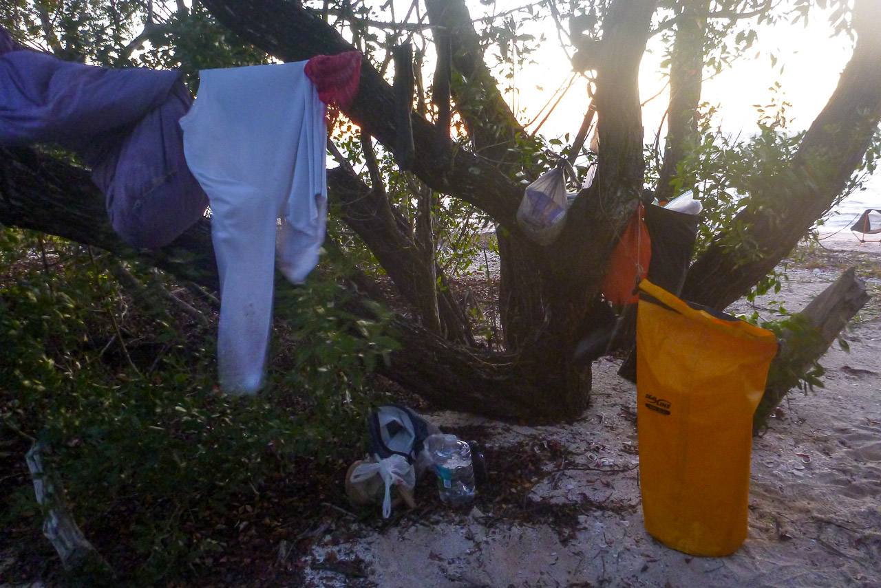 Everglades 2015 56