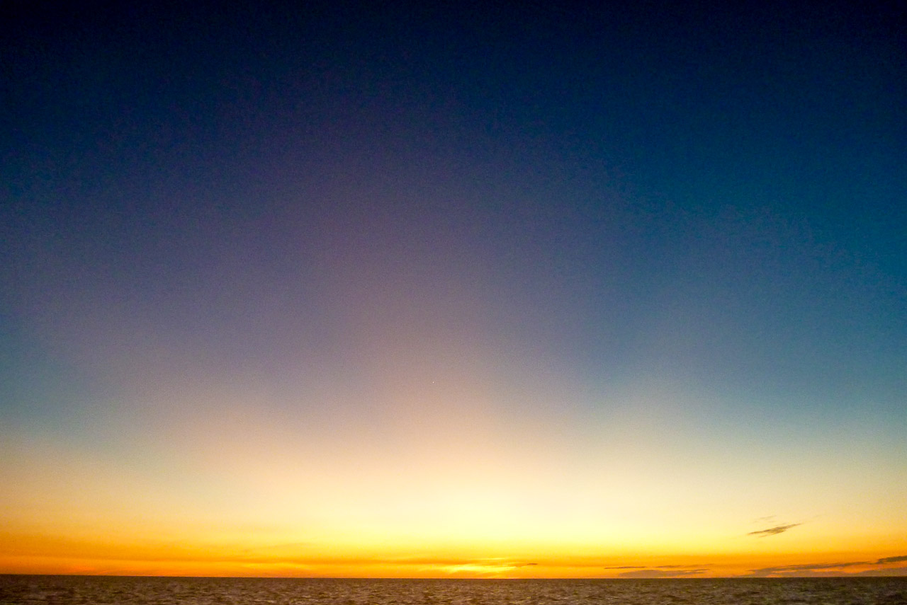 Everglades 2015 57