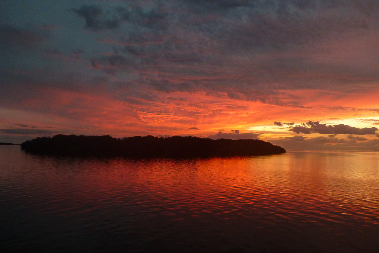Everglades 2015 71
