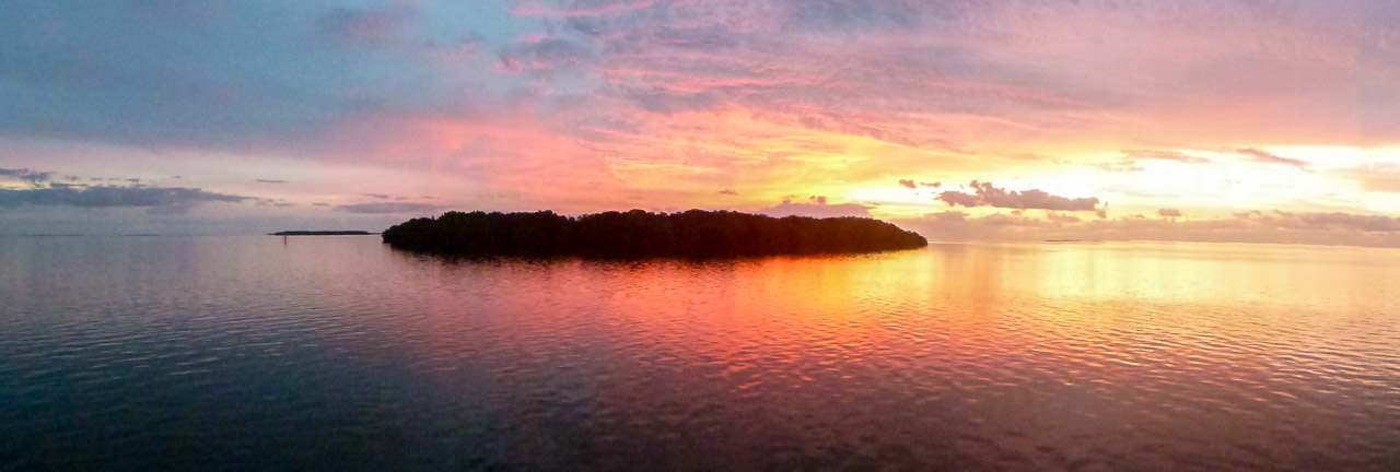 Everglades 2015 72