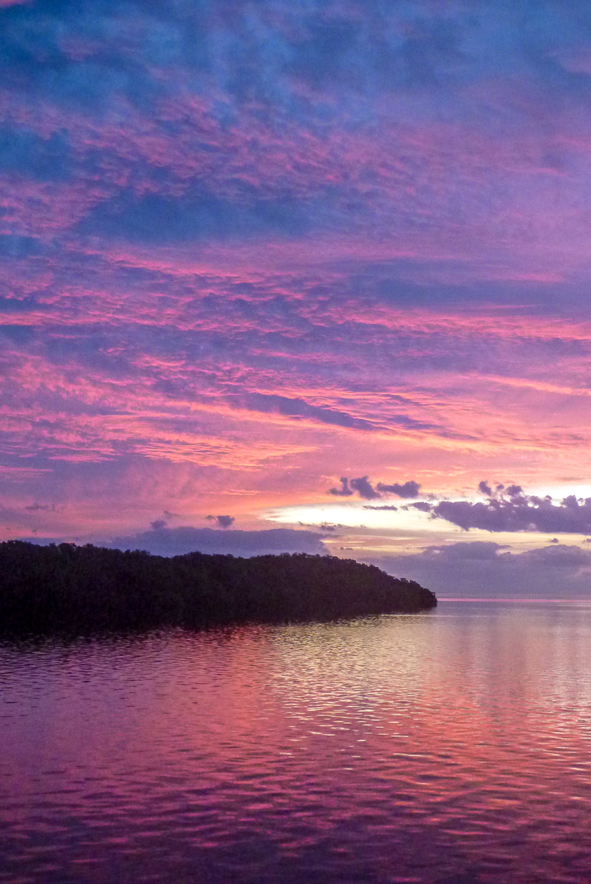 Everglades 2015 73