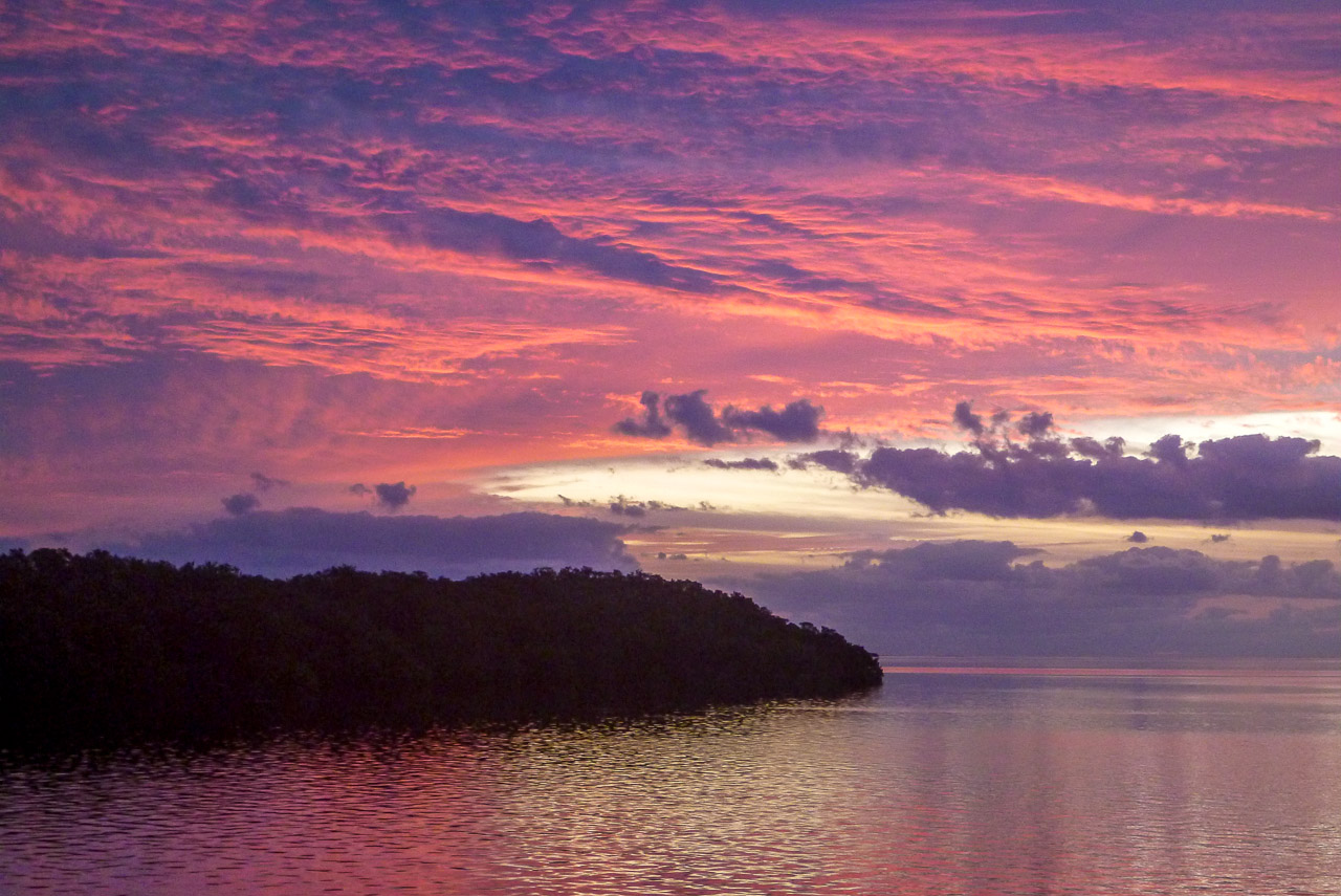 Everglades 2015 74