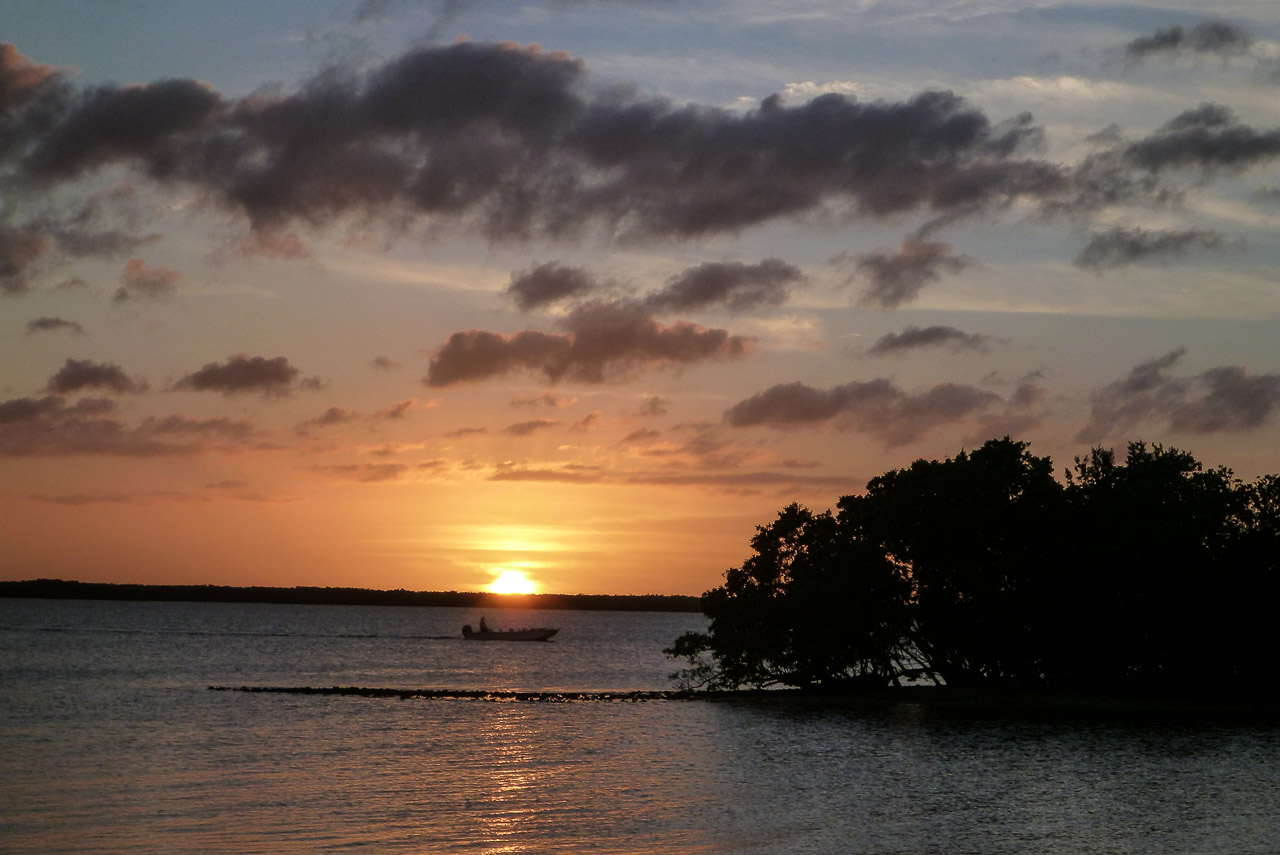 Everglades 2015 17
