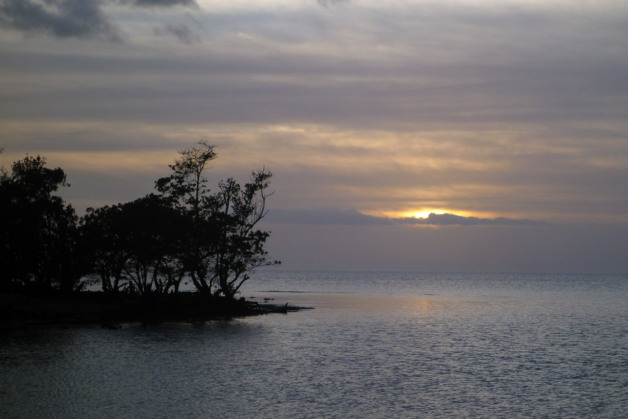 Everglades 2015 23