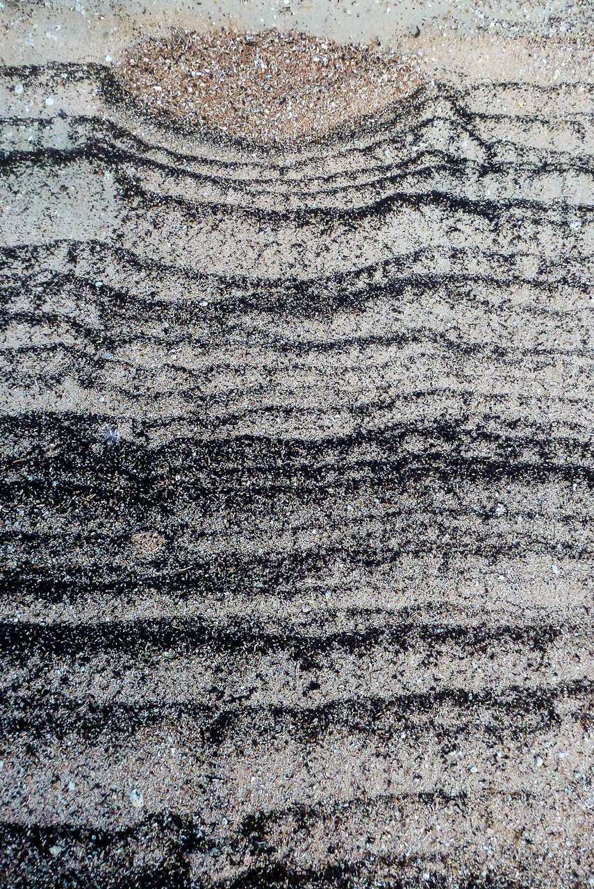 Everglades 2015 24