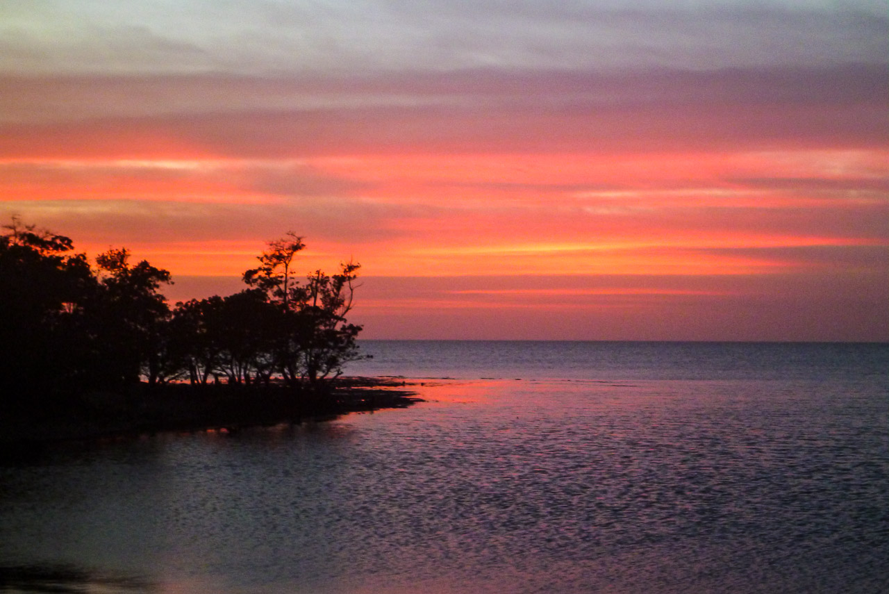 Everglades 2015 26