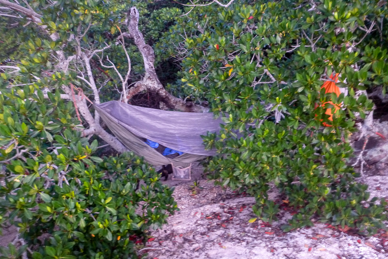 Everglades 2015 27