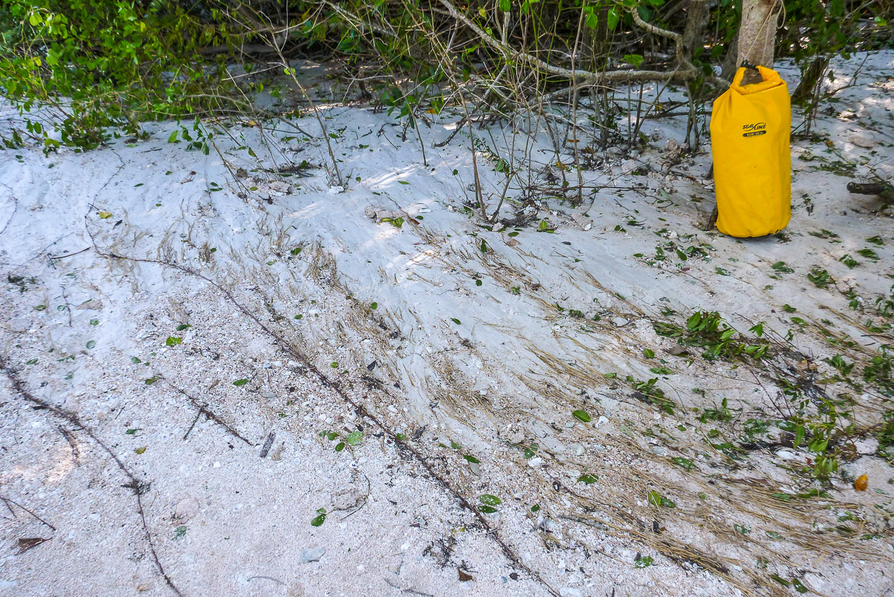 Everglades 2016 22