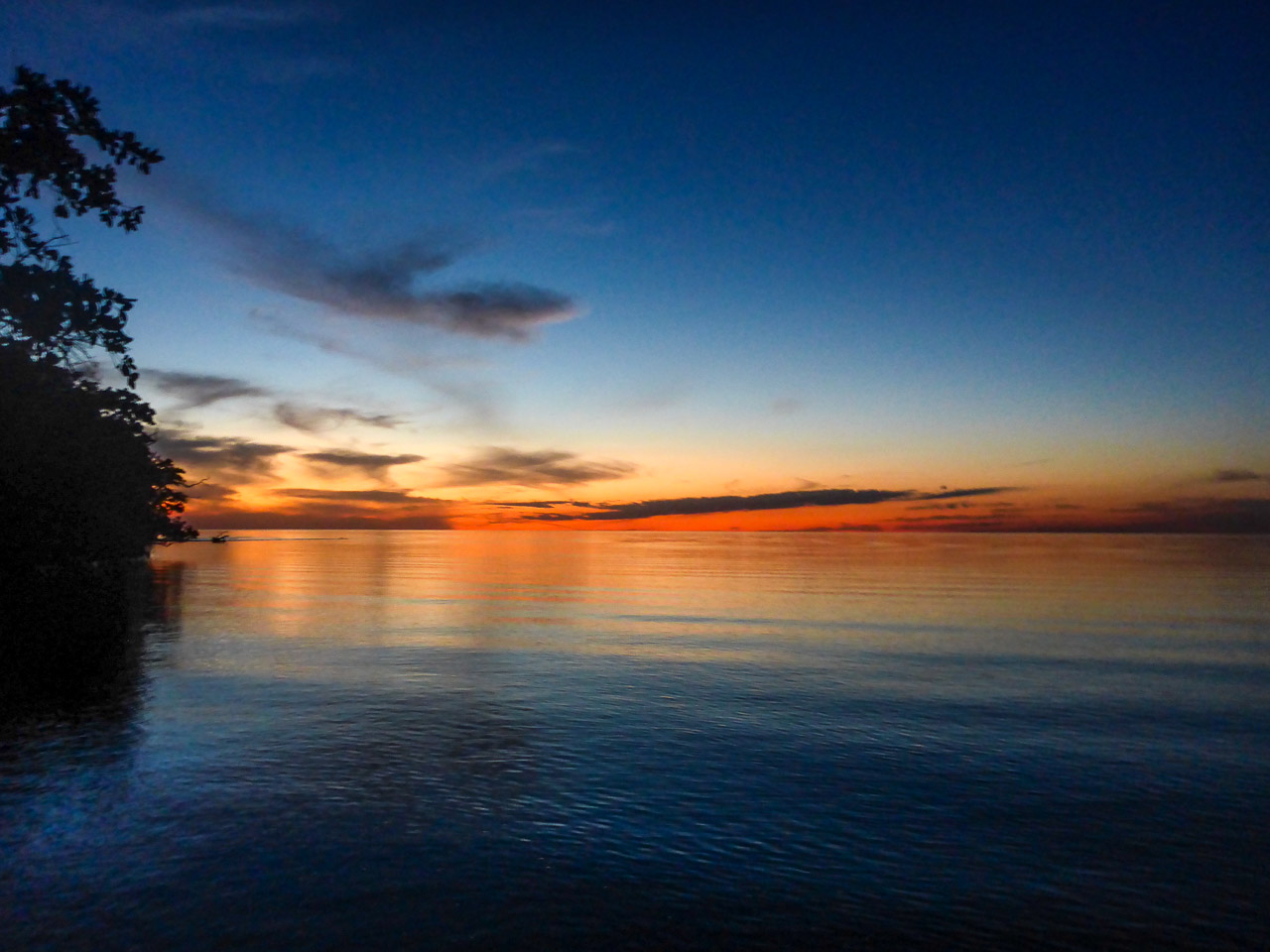 Everglades 2016 23