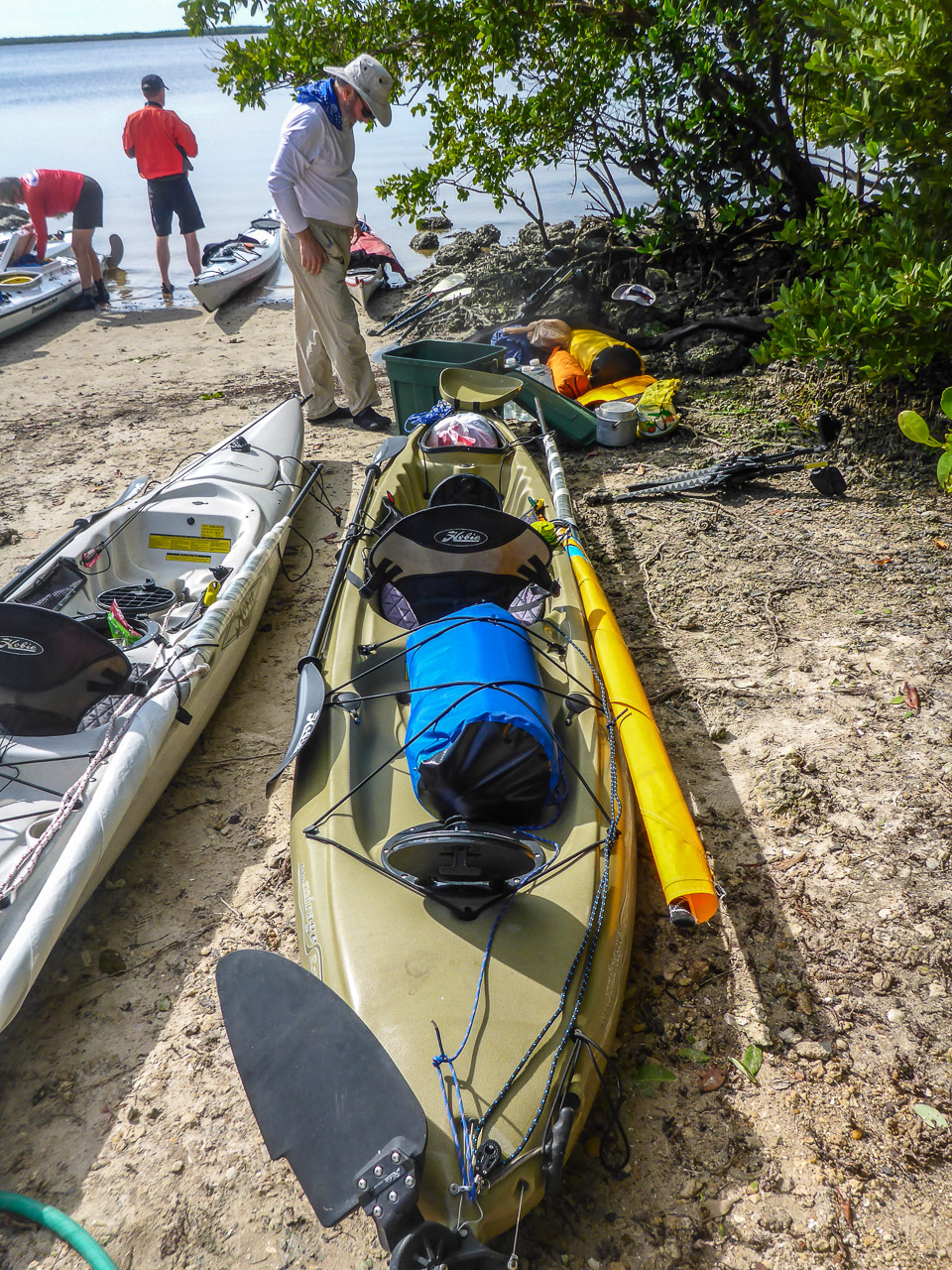 Everglades 2016 3