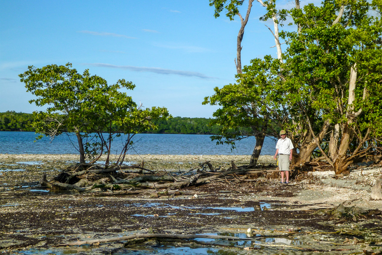 Everglades 2016 30
