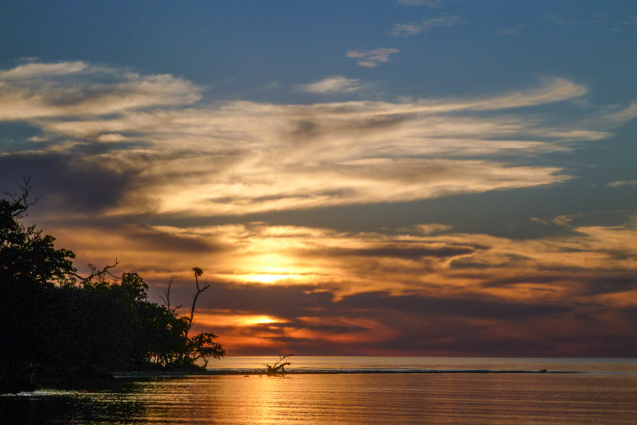 Everglades 2016 34