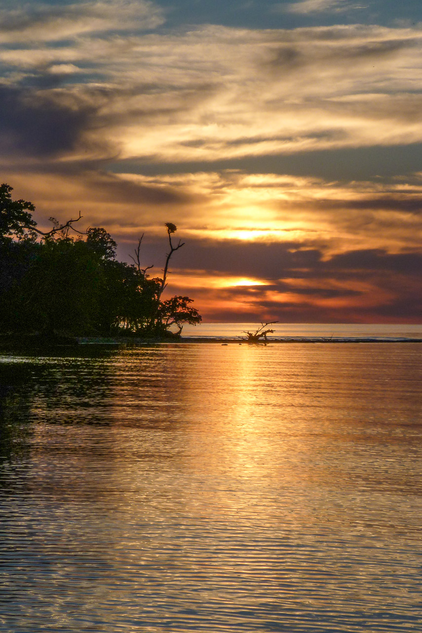 Everglades 2016 35
