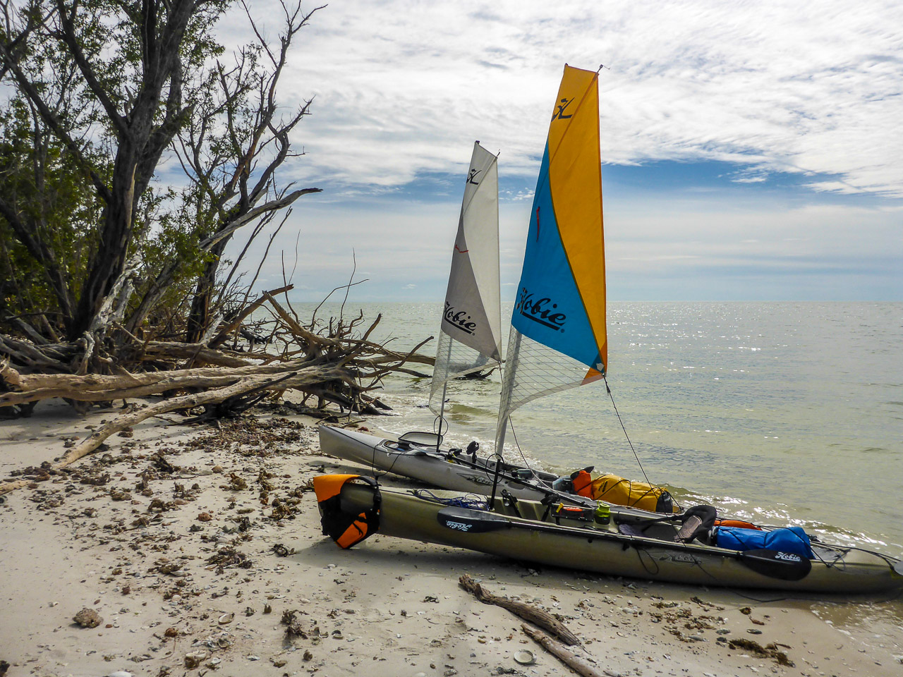 Everglades 2016 40