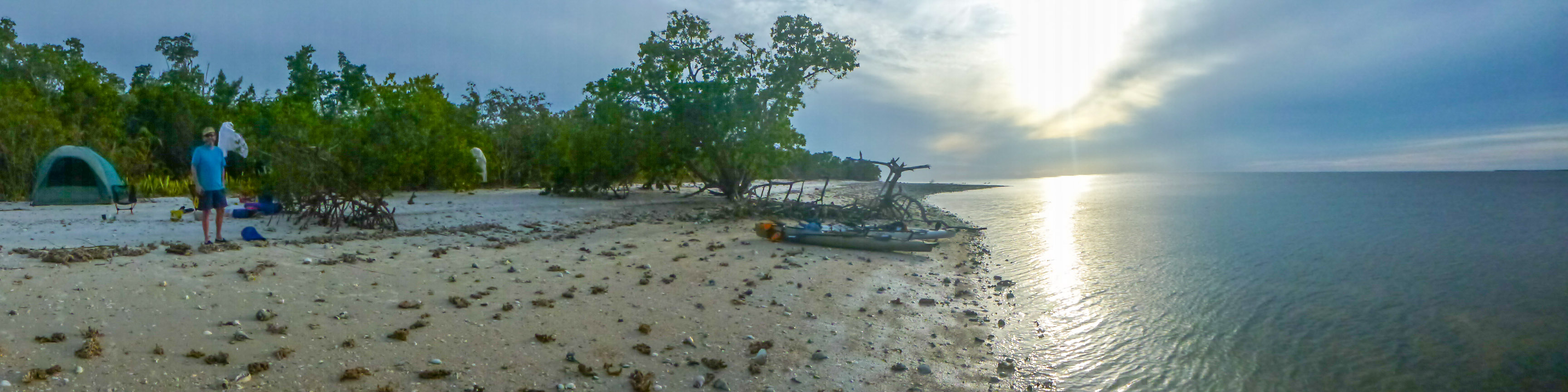 Everglades 2016 47