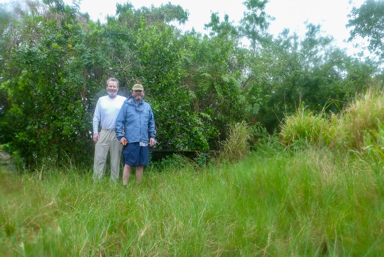 Everglades 2016 51