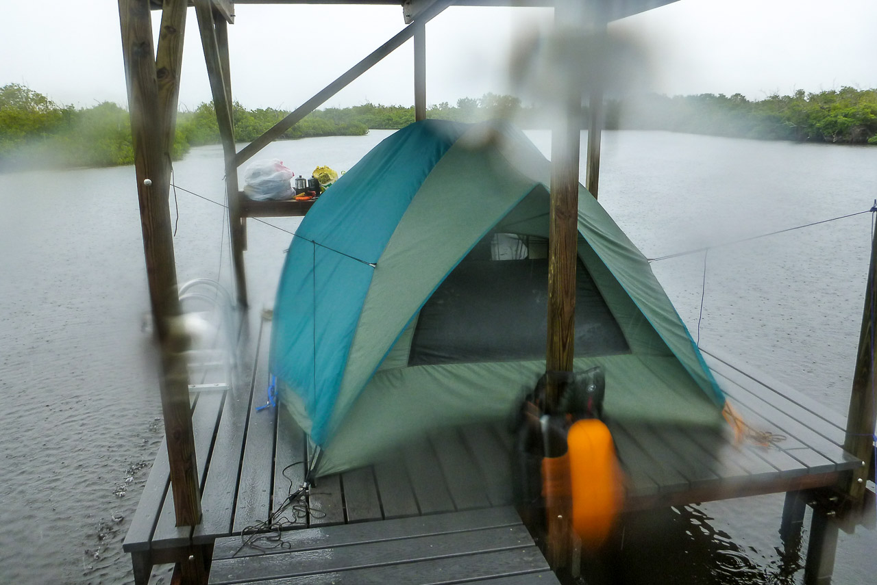 Everglades 2016 53