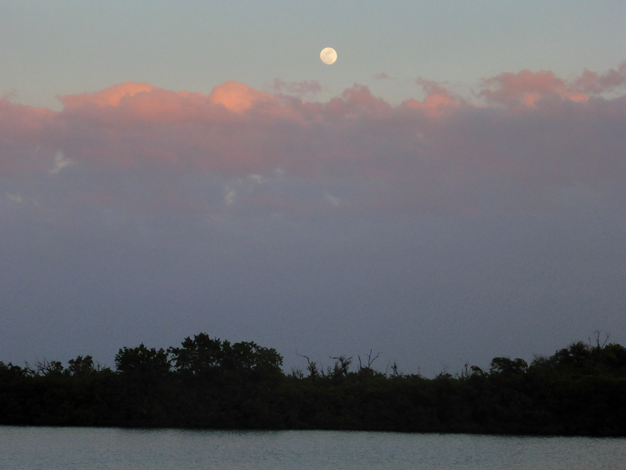 Everglades 2016 58
