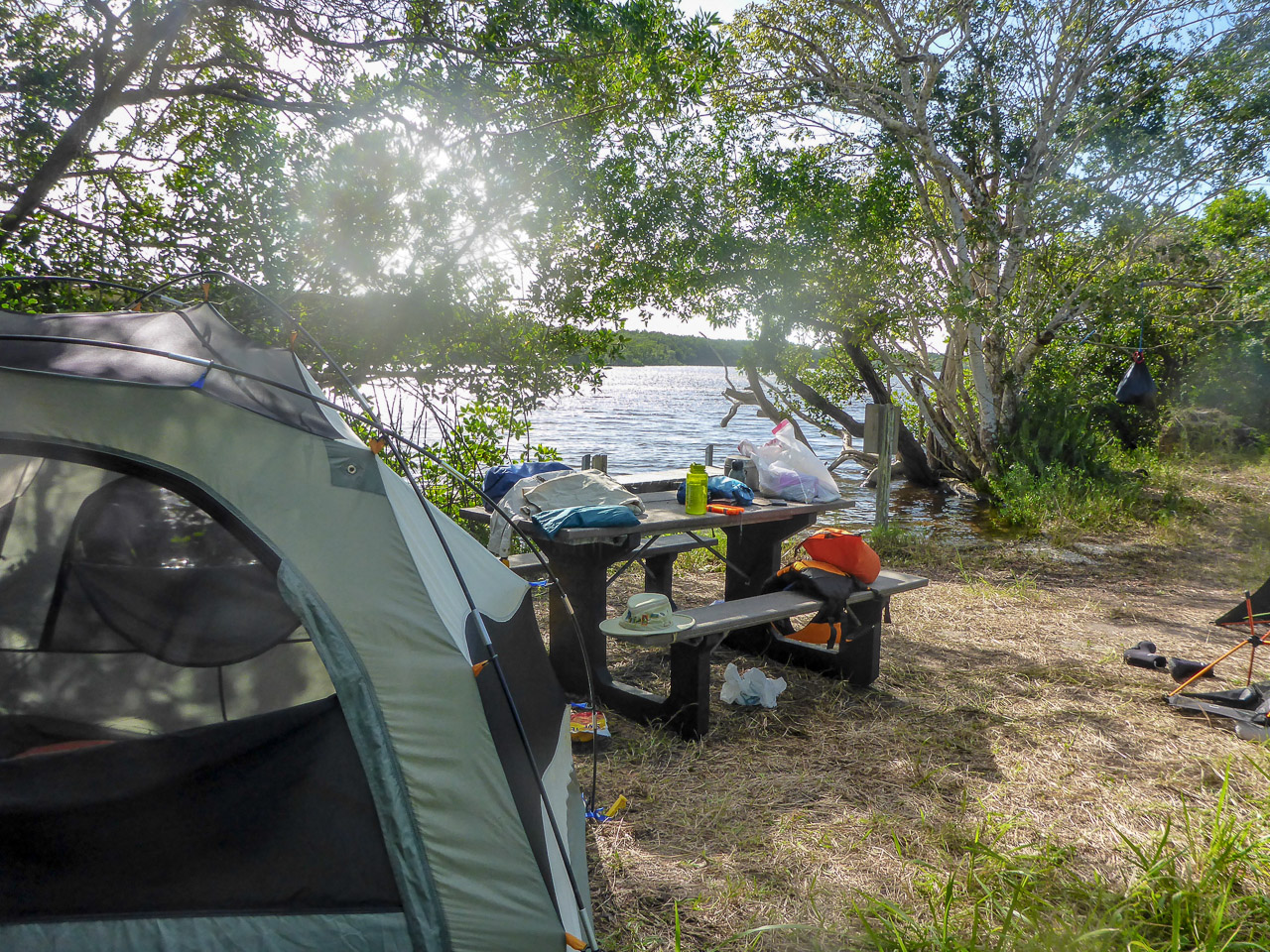 Everglades 2016 72